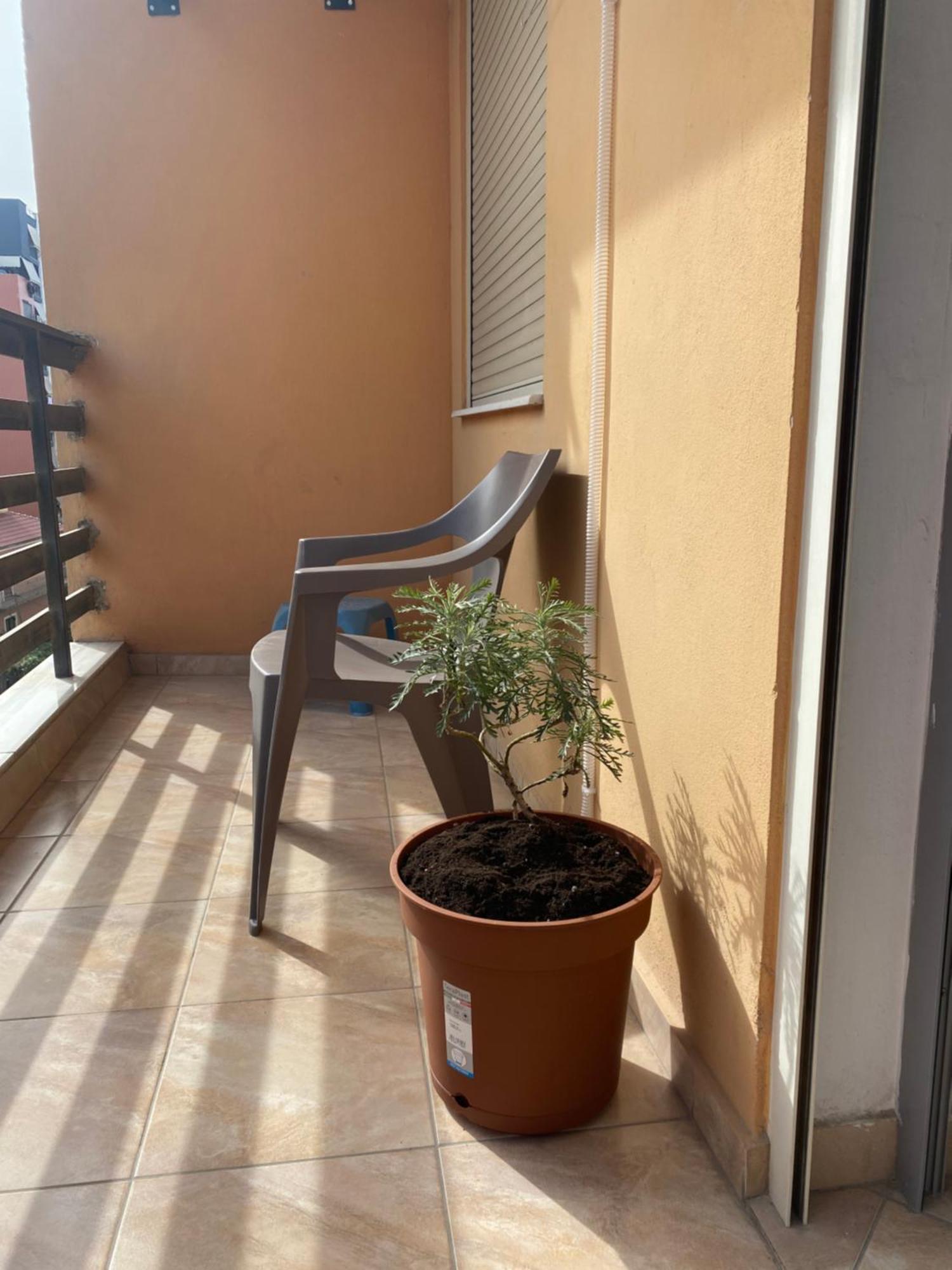 Home Sweet Home - Guest House Yzberishti Esterno foto